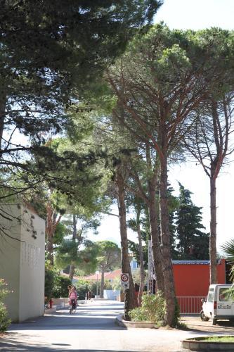 Camping Taxo Les Pins