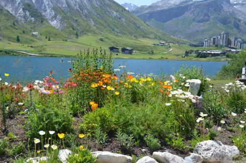 Aparthotel R�sidence Santa Terra