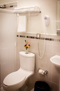Hotel Rosa Barroco