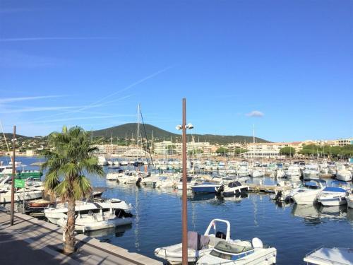 Apartment Pins Ensoleilles III Sainte Maxime
