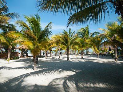 Hotel Zomay