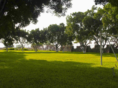 Hotel Brisa Del Lago Club And Resort