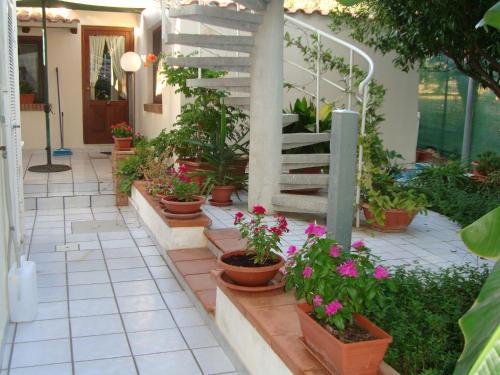 Bed & Breakfast Solaris