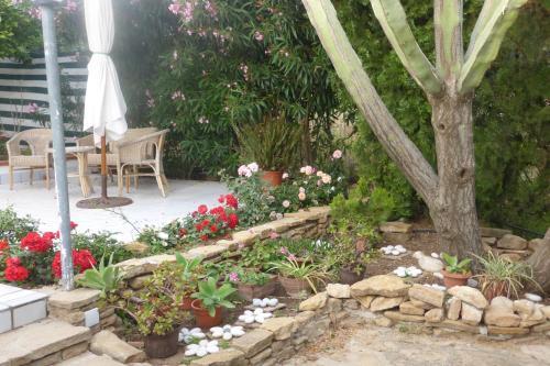 Bed & Breakfast Solaris