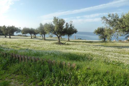 Bed & Breakfast Solaris