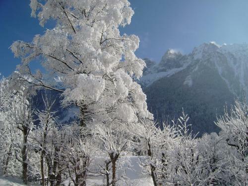 Chalet Altitude 1057