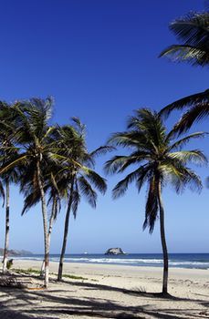 Hotel Lidotel Agua Dorada