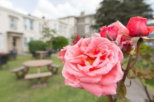 Lauriston Hotel