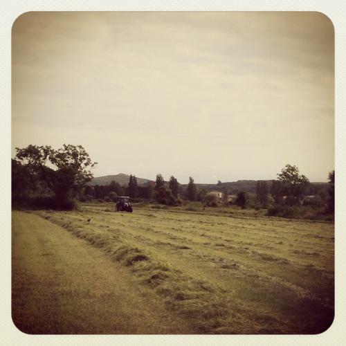 Agroturismo Locking Head Farm