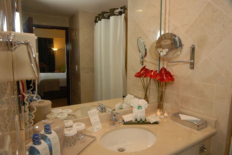 Hotel Holiday Inn Convention Center Managua