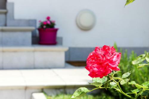 Apartamento Case Vacanze Borghetto Panigale