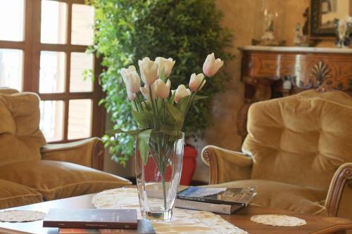B&B Villa Diana