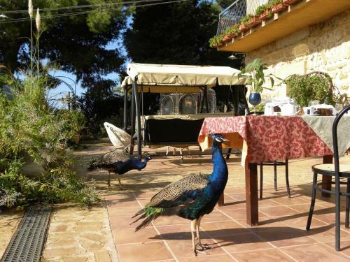 Agroturismo B&B Villa San Marco
