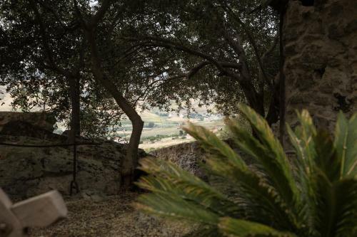 Bed & Breakfast Roba Degli Ulivi
