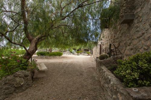 Bed & Breakfast Roba Degli Ulivi