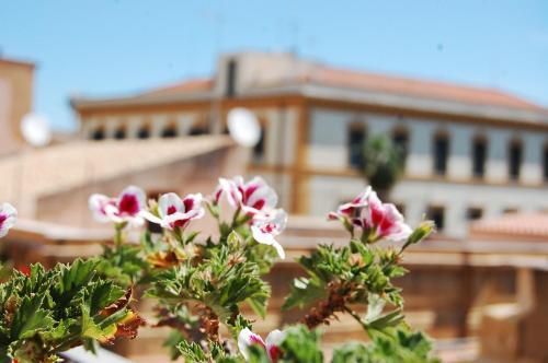 B&B Portatenea
