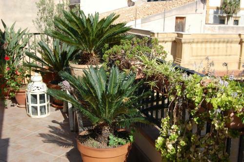 B&B Portatenea