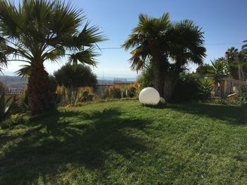 Colle Dei Rustici