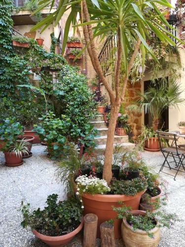 B&B Mille E UNA Notte