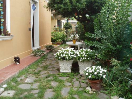 Perla B&B
