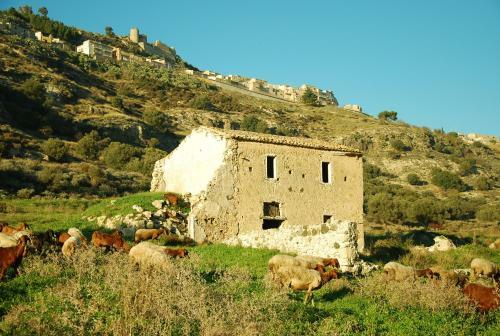 Bed & Breakfast Experience Il Paesino