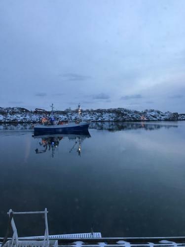 Skj�ret Stamsund