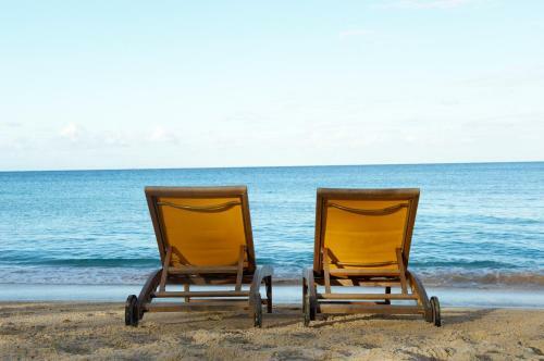 Hotel Discovery Bay By Rex Resorts