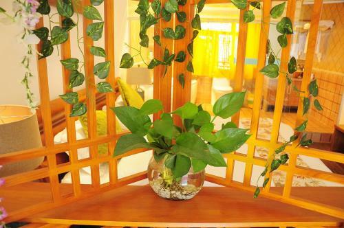 Posada Dream Garden Inn