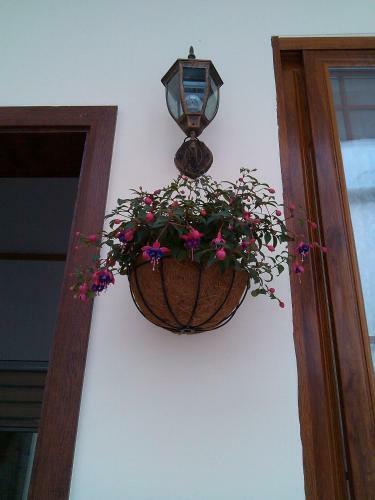 Posada Dream Garden Inn