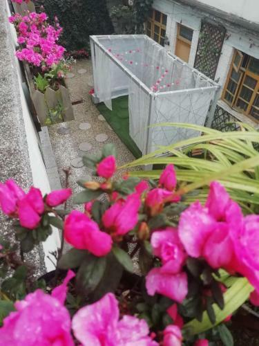 Posada Dream Garden Inn