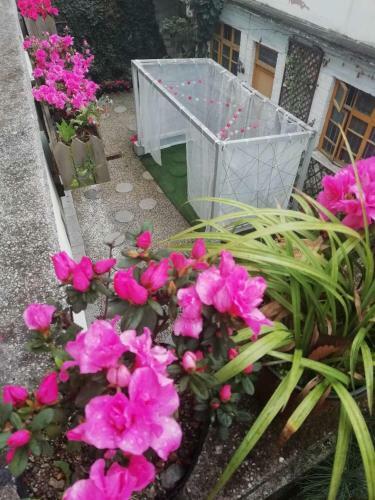 Posada Dream Garden Inn