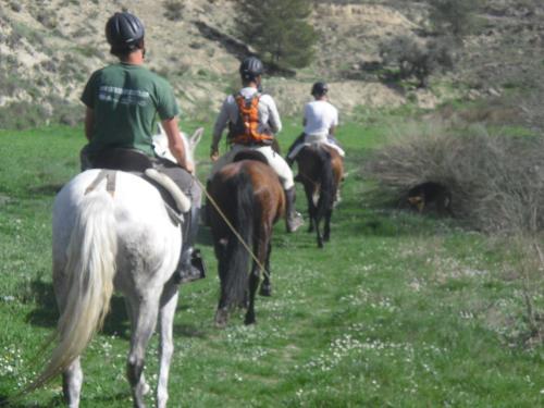 Agroturismo Casa Rural T�o Jos� Mar�a