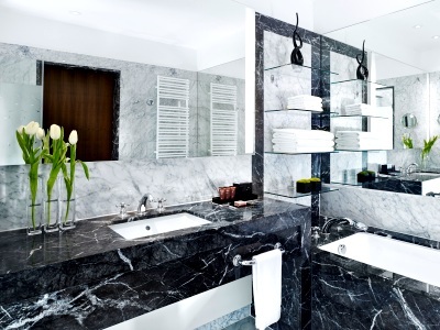 Hotel The Ritz-carlton Vienna