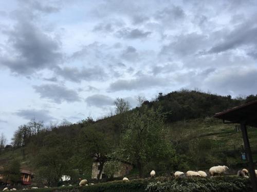Agroturismo El Caser�o