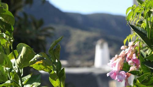 Agroturismo Casa Ana