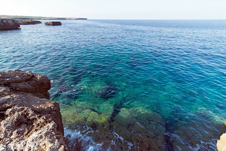 Apartamentos Mar Blanca