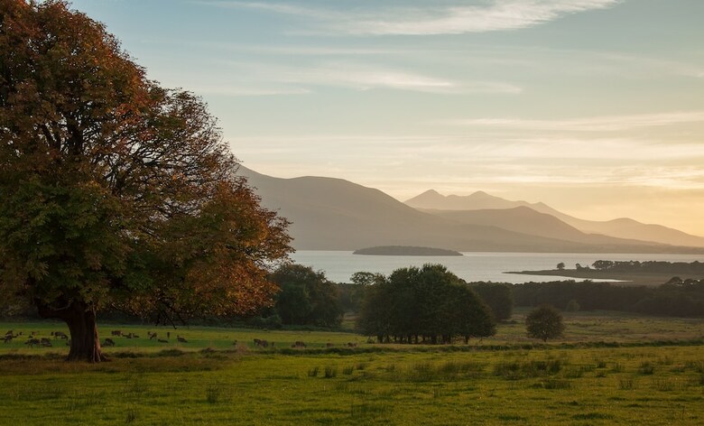Muckross Park Hotel And Cloisters Spa