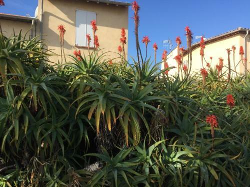 Apartamento Le Melody