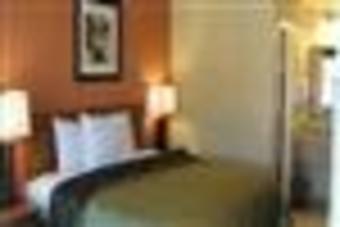 Hotel Knights Inn Arlington