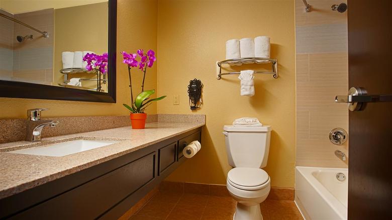 Best Western Plus Addison Galleria Hotel