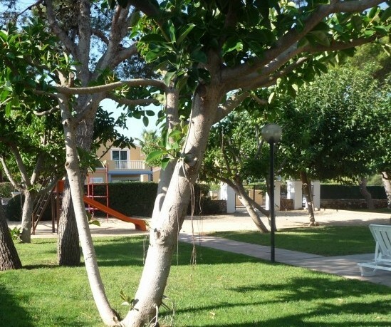 Apartamentos Llebeig