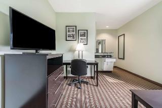Hotel Days Inn And Suites Dallas