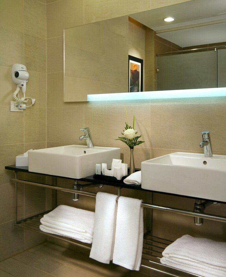 Hotel Holiday Inn Santo Domingo