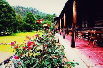 Hotel Cusarare River Sierra Lodge
