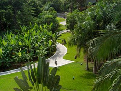 Hotel Pacifica Resort Ixtapa