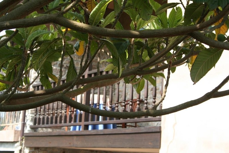 Agroturismo Casa Rural La Casa De Campo I Y II