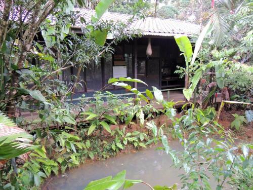 Yatama Ecolodge Sarapiqui