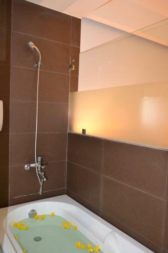 Da Nang Nemo Hotel