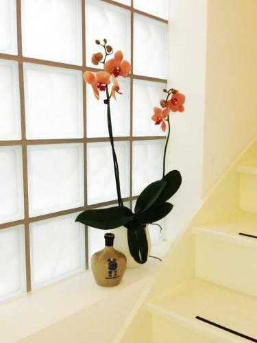 Bed & Breakfast Romantic Wellness Bnb Noordwijk