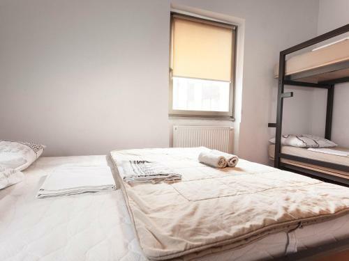 Hostel Situla
